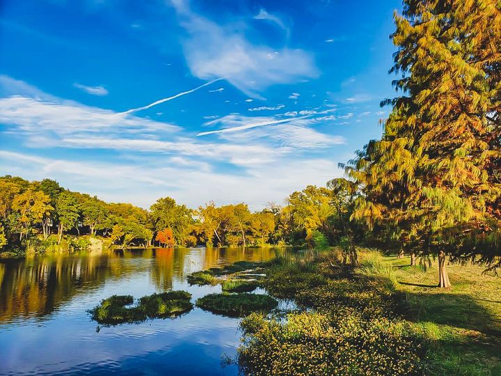 Veterans Park Round Rock